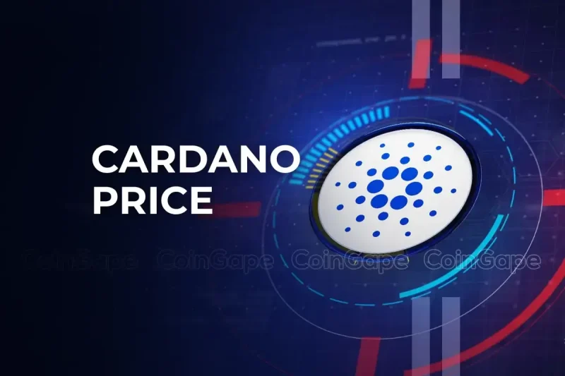 3 Reasons Why Cardano Price Risks Dropping to $0.2