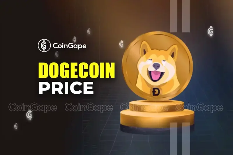 Will Elon Musk Help Revive Dogecoin Price Slump?