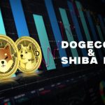 Dogecoin and Shiba Inu: Daily Targets and Prices