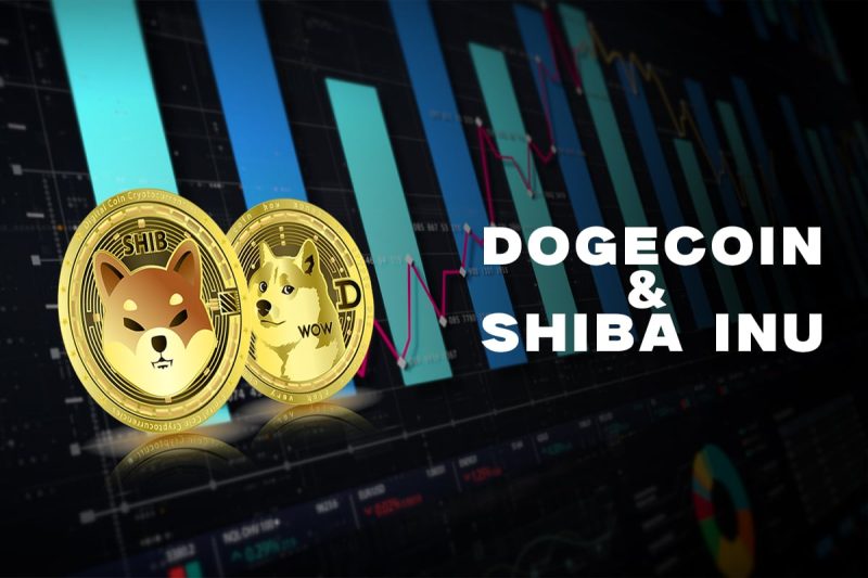 Dogecoin and Shiba Inu: Daily Targets and Prices