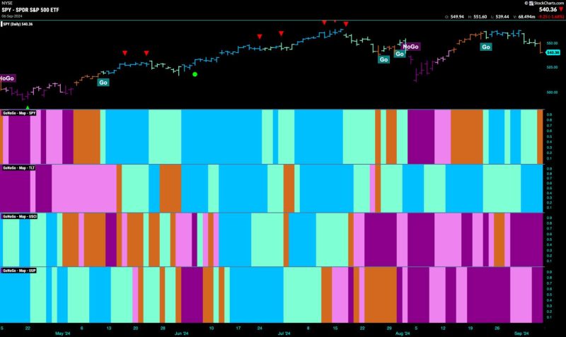 Equities Say “Go Fish”; How “Healthy” are the Markets?