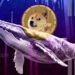 Dogecoin Whales Buy Over 1 Billion DOGE, Is A Massive Rally Starting?