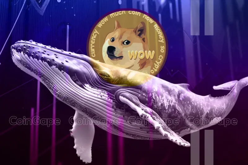 Dogecoin Whales Buy Over 1 Billion DOGE, Is A Massive Rally Starting?