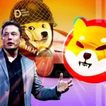 Elon Musk Excites DOGE Army with Shiba Inu in New Robotaxi