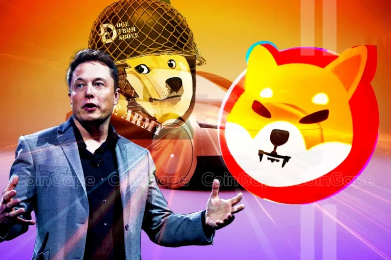 Elon Musk Excites DOGE Army with Shiba Inu in New Robotaxi