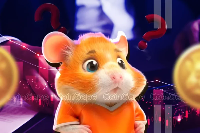 Will HMSTR Price Ever Recover? Hamster Kombat Downtrend Continues