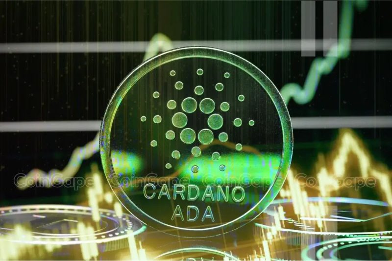 Is Cardano Price Undervalued? Analyst Reveals ADA Target