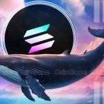 Will Solana Price Recover as Whales Accumulate $1.7M SOL?