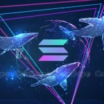 Crypto Whale Bets Big On WIF, POPCAT & These Solana Meme Coins