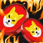 Shiba Inu Community Burns 87M Coins This Week, What’s Next For SHIB?